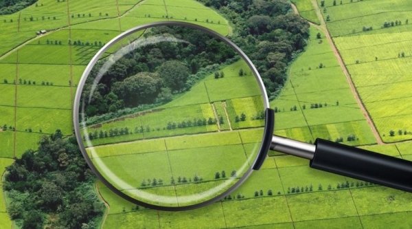 Купля-продажа земли: на что важно обратить внимание при подписании документов