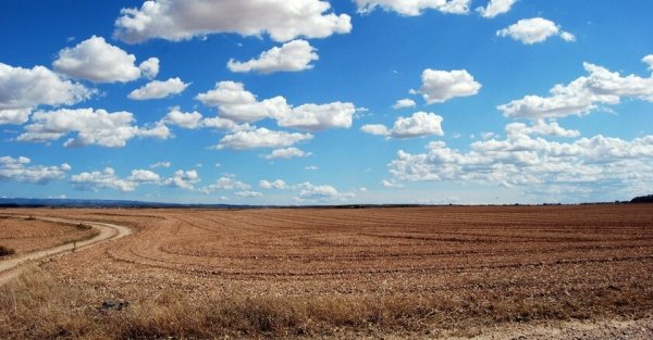 Подготовка к продаже земли: в Минюсте создали пошаговую инструкцию для землевладельцев