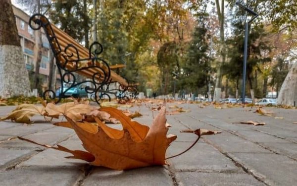 Украинцам рассказали, когда окончательно похолодает