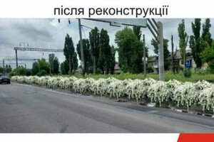 Будут радовать глаз: на въезде в Одессу высадят 16 тысяч кустов спиреи