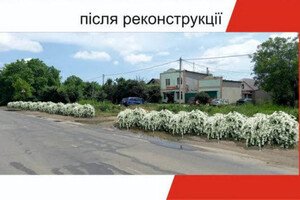 Будут радовать глаз: на въезде в Одессу высадят 16 тысяч кустов спиреи