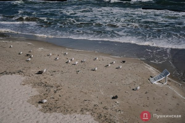 Взволнованное море под ярким солнцем: как побережье Одессы встретило первый шторм. Фоторепортаж