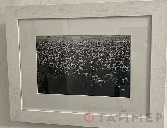«Абстракция формы»: одесский фотохудожник дебютировал чёрно-белой экспозицией 