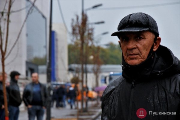 У одесского «Привоза» высадили первые 28 акаций из обещанной мэром тысячи. Фото