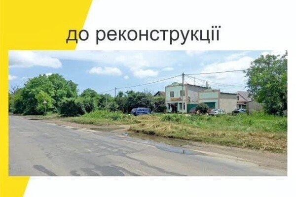 Будут радовать глаз: на въезде в Одессу высадят 16 тысяч кустов спиреи