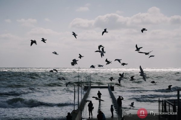 Взволнованное море под ярким солнцем: как побережье Одессы встретило первый шторм. Фоторепортаж