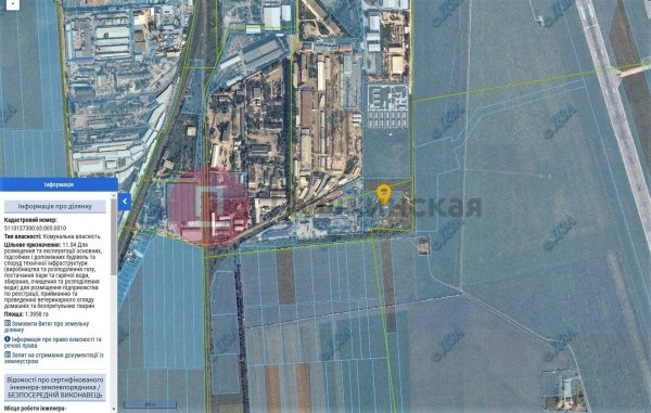 Создание городского ветцентра и крематория для животных в Одессе: все, что известно