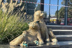 Еще одна достопримечательность: у "Привоза" открыли новых котов