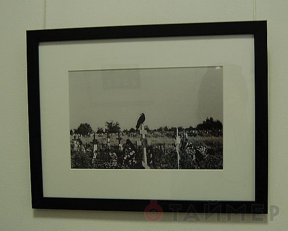 «Абстракция формы»: одесский фотохудожник дебютировал чёрно-белой экспозицией 