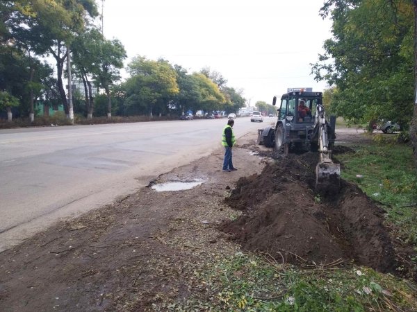 У въезда в Одессу высаживают живую изгородь из спиреи
