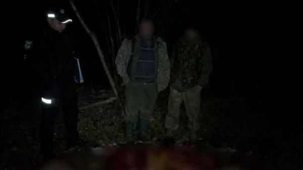На Черниговщине убийца лося умер, скрываясь с места преступления