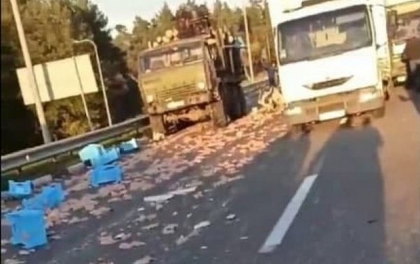 В Житомирской области в ДТП попали три грузовика: по дороге разлетелось мясо
