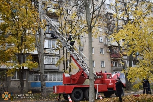 Пожар на Таирова: спасатели эвакуировали девять жителей и двух животных
