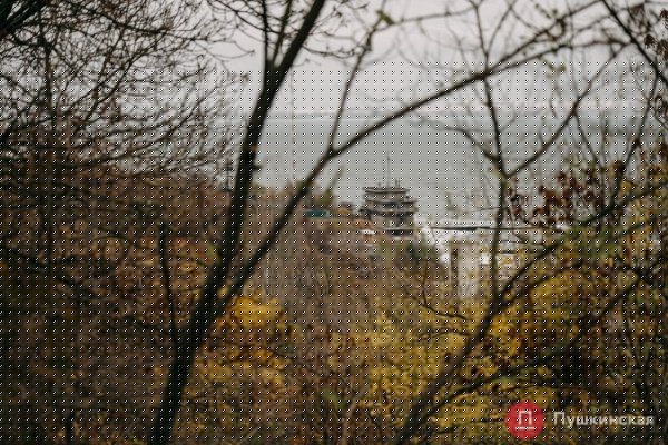 Золотая листва, море и абсолютный покой: прогулка по осенней Трассе здоровья. Фоторепортаж