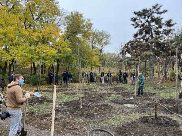 Трухановские посадки: в Одессе стало ещё на 50 акаций больше 
