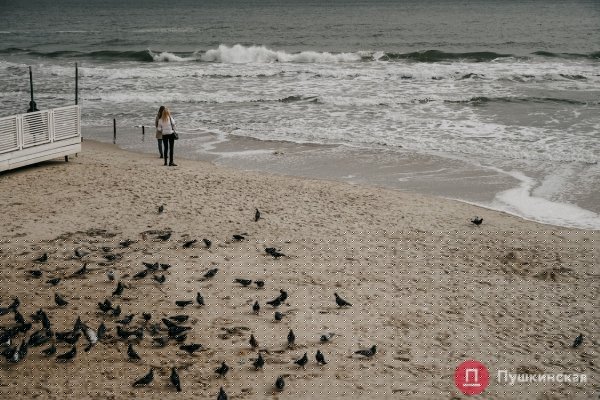 Золотая листва, море и абсолютный покой: прогулка по осенней Трассе здоровья. Фоторепортаж