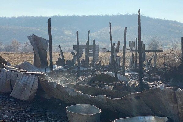 На ферме под Одессой, где сгорели овцы, рассказали подробности пожара
