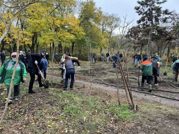 Трухановские посадки: в Одессе стало ещё на 50 акаций больше 