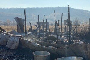 На ферме под Одессой, где сгорели овцы, рассказали подробности пожара