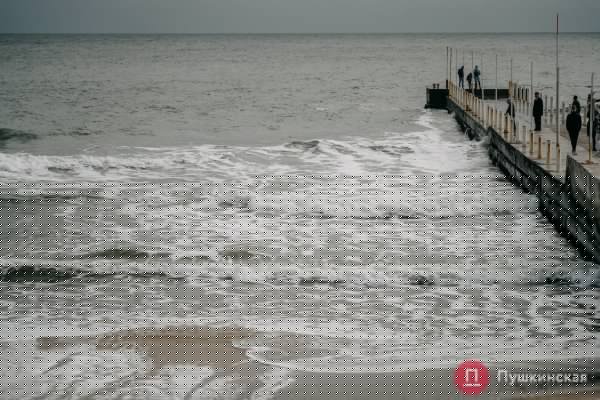Золотая листва, море и абсолютный покой: прогулка по осенней Трассе здоровья. Фоторепортаж