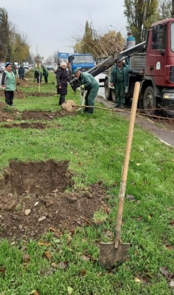 Трухановские посадки: в Одессе стало ещё на 50 акаций больше 