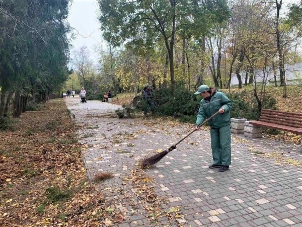 Одесские коммунальщики огораживают парк Шевченко живым забором 