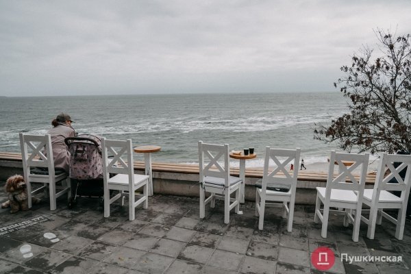 Золотая листва, море и абсолютный покой: прогулка по осенней Трассе здоровья. Фоторепортаж