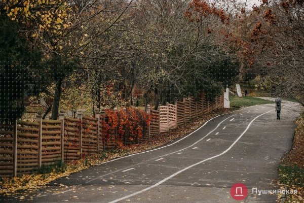 Золотая листва, море и абсолютный покой: прогулка по осенней Трассе здоровья. Фоторепортаж