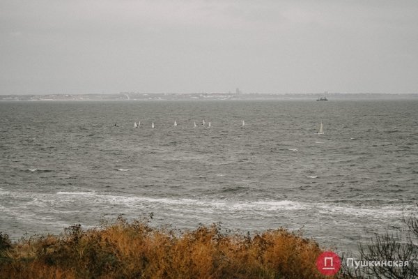 Золотая листва, море и абсолютный покой: прогулка по осенней Трассе здоровья. Фоторепортаж
