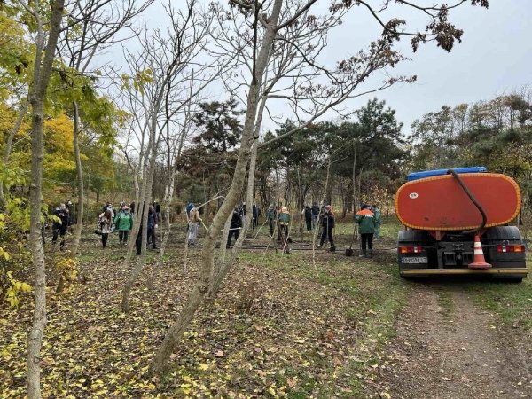 Трухановские посадки: в Одессе стало ещё на 50 акаций больше 