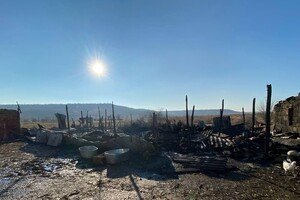 На ферме под Одессой, где сгорели овцы, рассказали подробности пожара