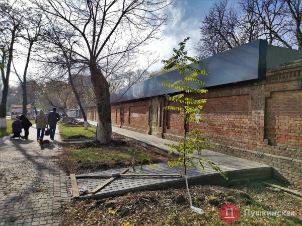 Историческую ограду больницы на Слободке «украсили» магазинами: в мэрии утверждают — все по закону