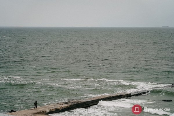 Золотая листва, море и абсолютный покой: прогулка по осенней Трассе здоровья. Фоторепортаж