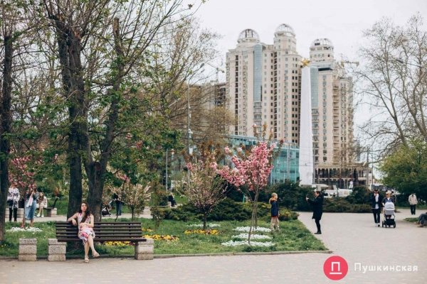 В Одессе наконец-то решили, где поставят китайскую беседку, которую городу подарили еще при Костусеве