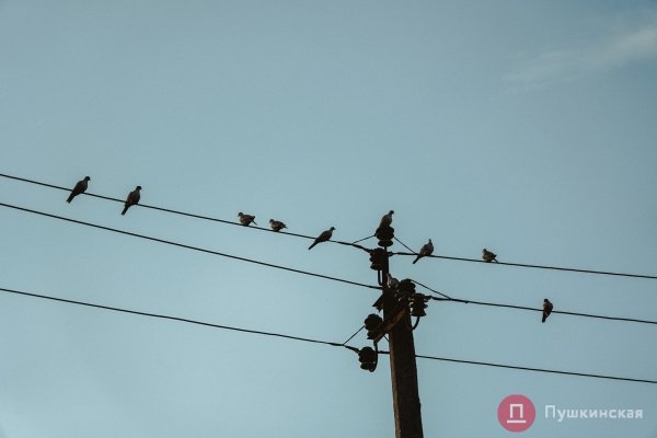 Нетуристическая Одесса, часть 3: поселок Большевик — район, который застыл во времени. Фоторепортаж