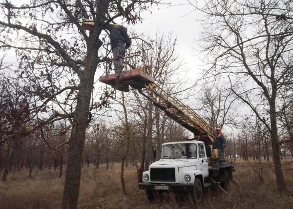 На Тузловских лиманах расставили десятки домиков для сов 