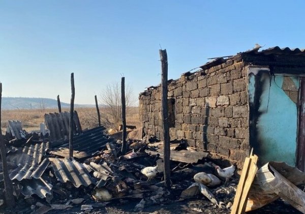 На ферме под Одессой, где сгорели овцы, рассказали подробности пожара