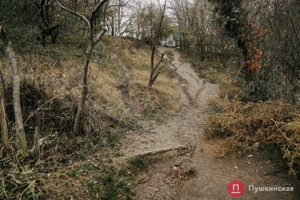 В Одессе хотят построить новую лестницу к морю, ее проект обойдется почти в 1,5 миллиона