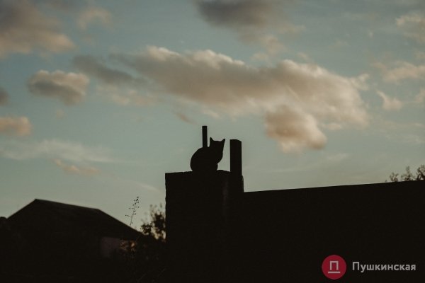 Нетуристическая Одесса, часть 3: поселок Большевик — район, который застыл во времени. Фоторепортаж