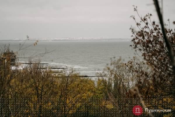 Золотая листва, море и абсолютный покой: прогулка по осенней Трассе здоровья. Фоторепортаж