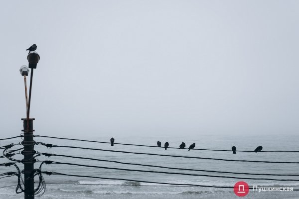 Как туман окутал Одессу: воскресный фоторепортаж