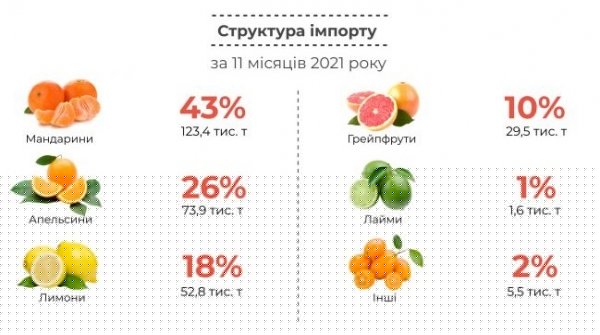 
                                                                        Украинцы стали больше покупать цитрусовых: откуда поступают фрукты
                                                                                                                                                                                                                    