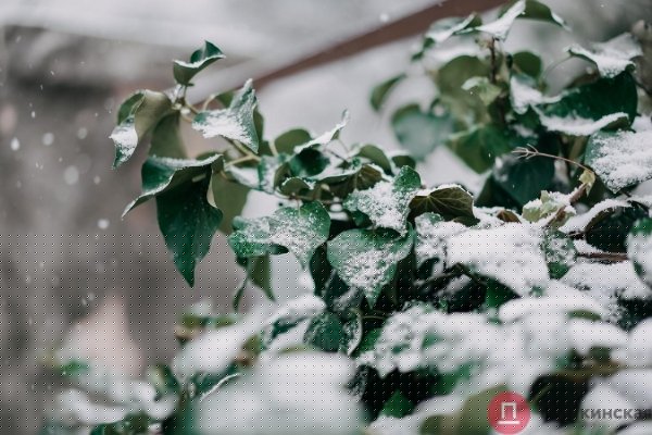 Час снега в Одессе: что мы увидели на Таирова и в центре. Фоторепортаж