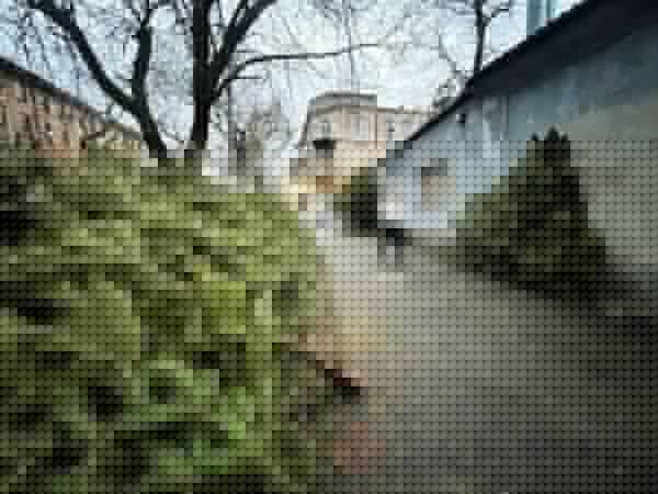 На Конной разворачивается ёлочный базар