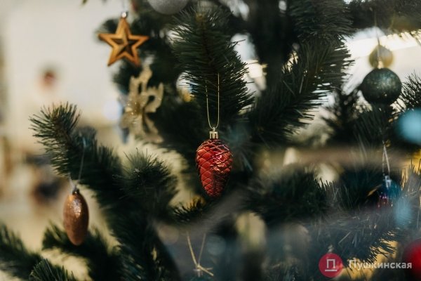 Большая прогулка по предновогодней Одессе: как город нарядился к праздникам. Фоторепортаж