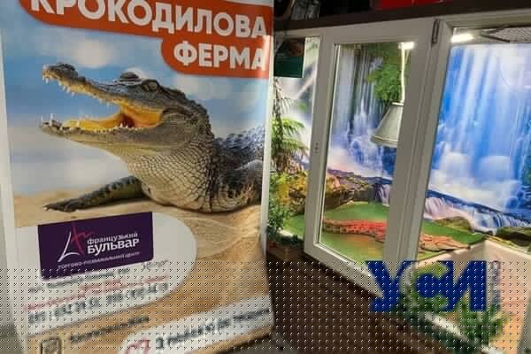 В Одессе зоозащитники вызвали полицию на "ферму с крокодилами"