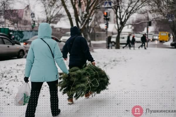 Час снега в Одессе: что мы увидели на Таирова и в центре. Фоторепортаж