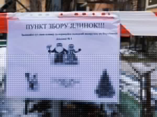  У Труханова рассказали, где можно оставить ненужную ёлку и получить за это конфету