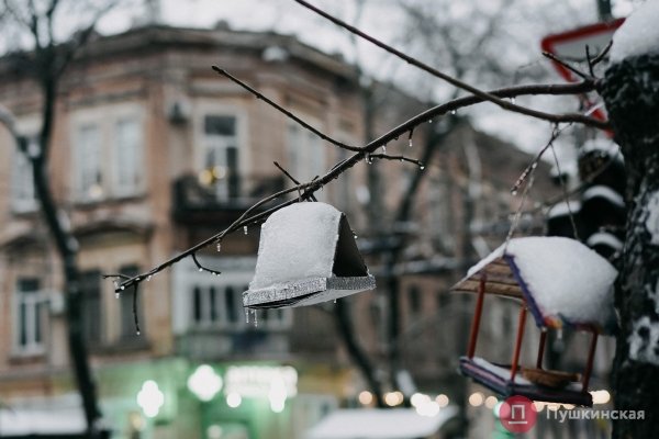 Глазурованный город: пугающая красота обледеневшей Одессы. Фоторепортаж