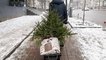 
                                                                        Зимние праздники в Киеве: как столица готовится к Новому году – фото
                                                                                                                                                                                                                    